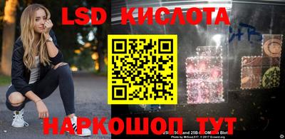 крисы Кингисепп