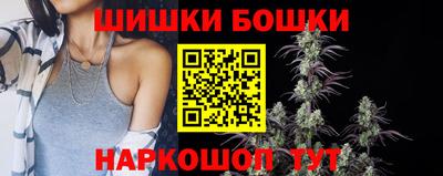 крисы Кингисепп