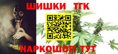 крисы Кингисепп