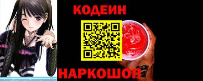 крисы Кингисепп