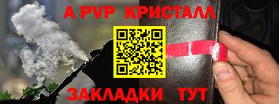 крисы Кингисепп