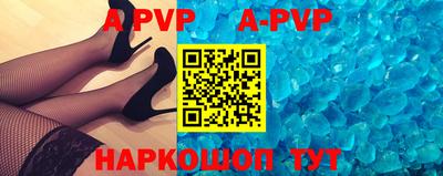 крисы Кингисепп