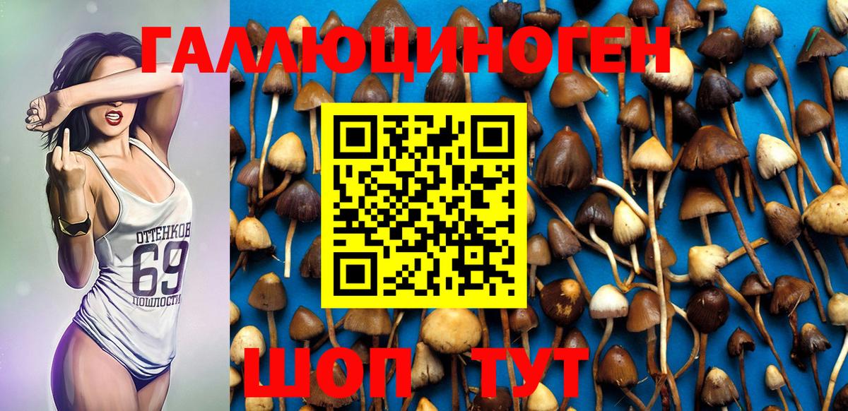 Кострома  Псилоцибиновые грибы Psilocybine cubensis  Вход с VPN 