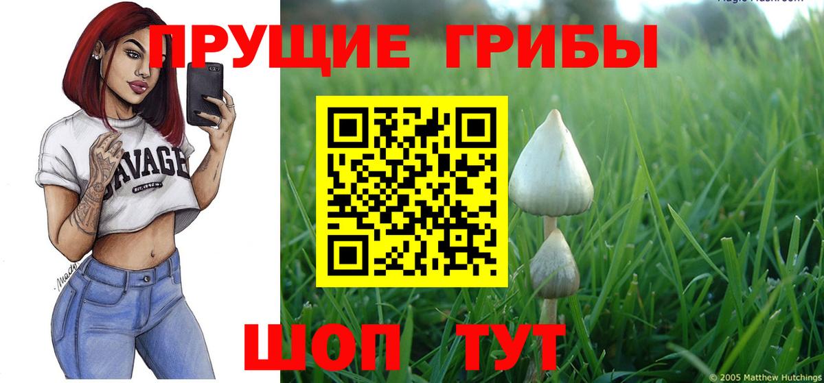 Галлюциногенные грибы прущие грибы Кострома